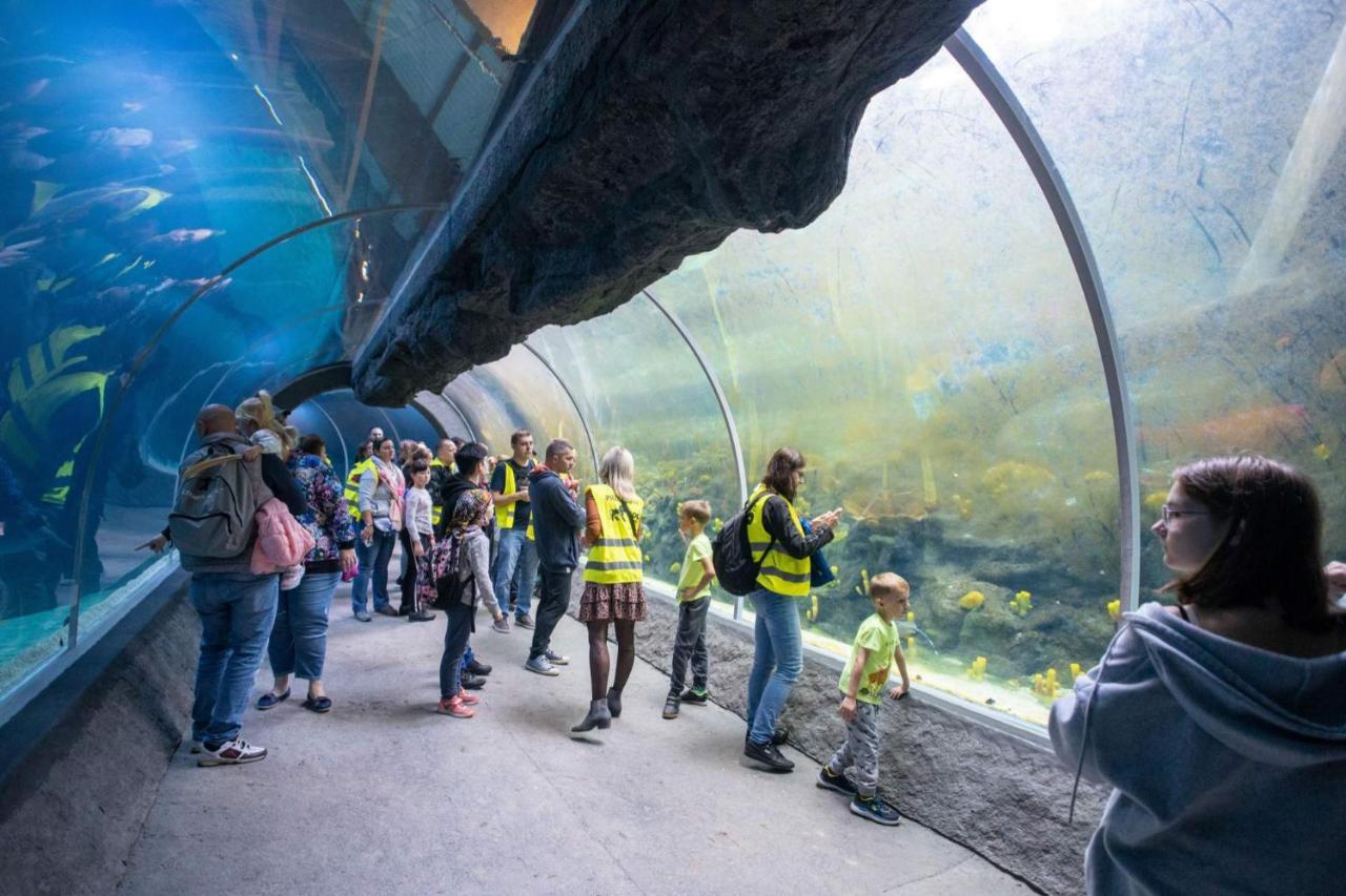 Silver - Orientarium,aquapark Fala & Park